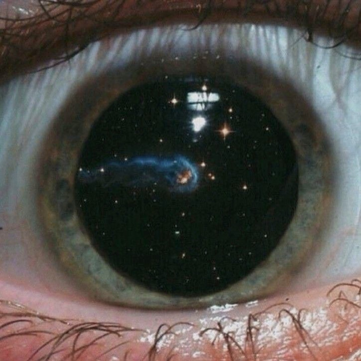 Thumbnail of Found on Cosmos