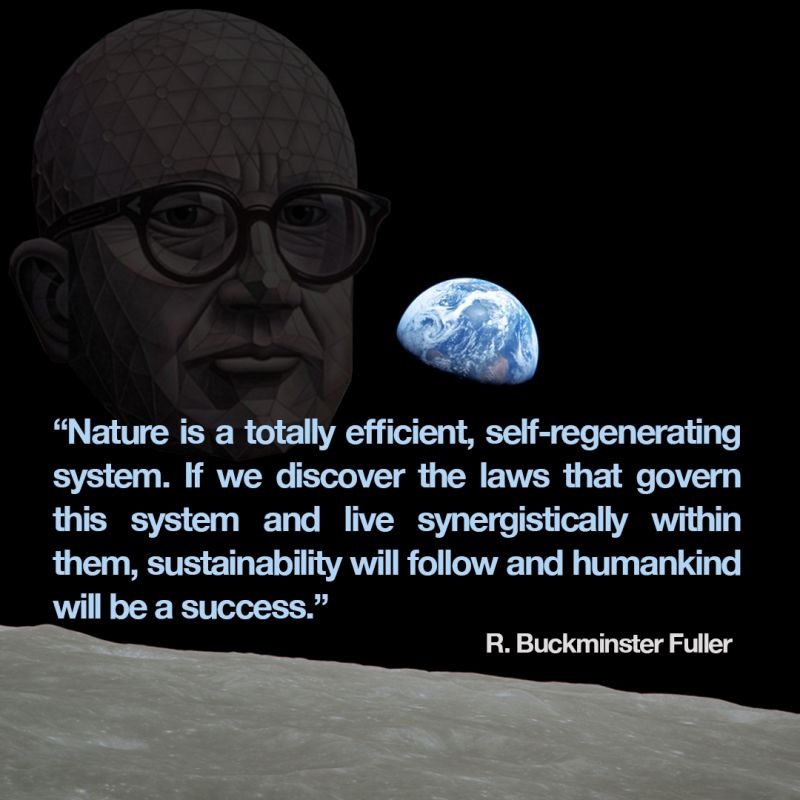 Thumbnail of #earthday #buckminsterfuller #sustainabilitybydesign #guineapigb… | Joe Skopek