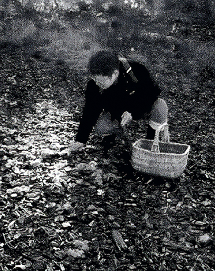 Thumbnail of PAISAGENS ANTROPOGÊNICAS - Piseagrama