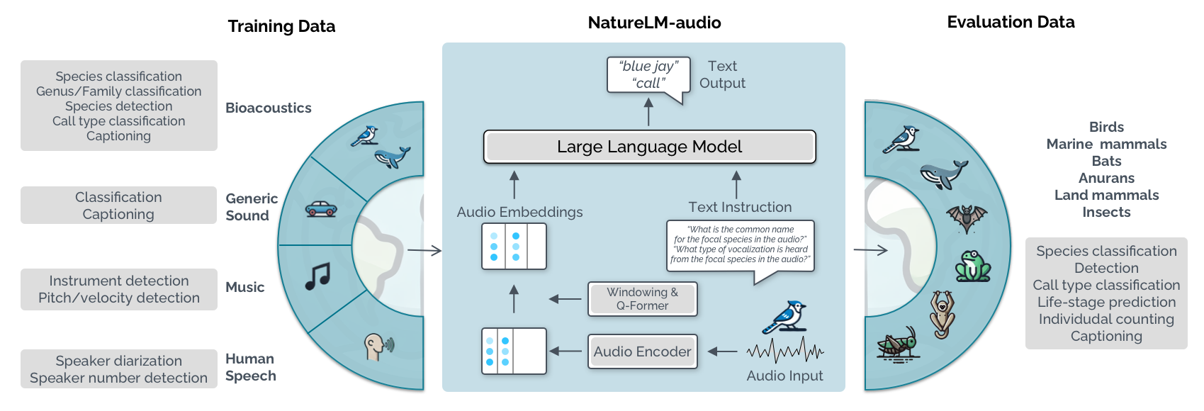 Thumbnail of NatureLM-audio: an Audio-Language Foundation Model for Bioacoustics