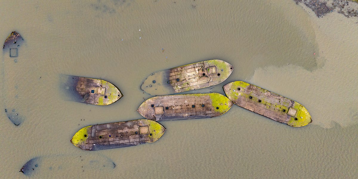 Thumbnail of The Social Media Sea Change