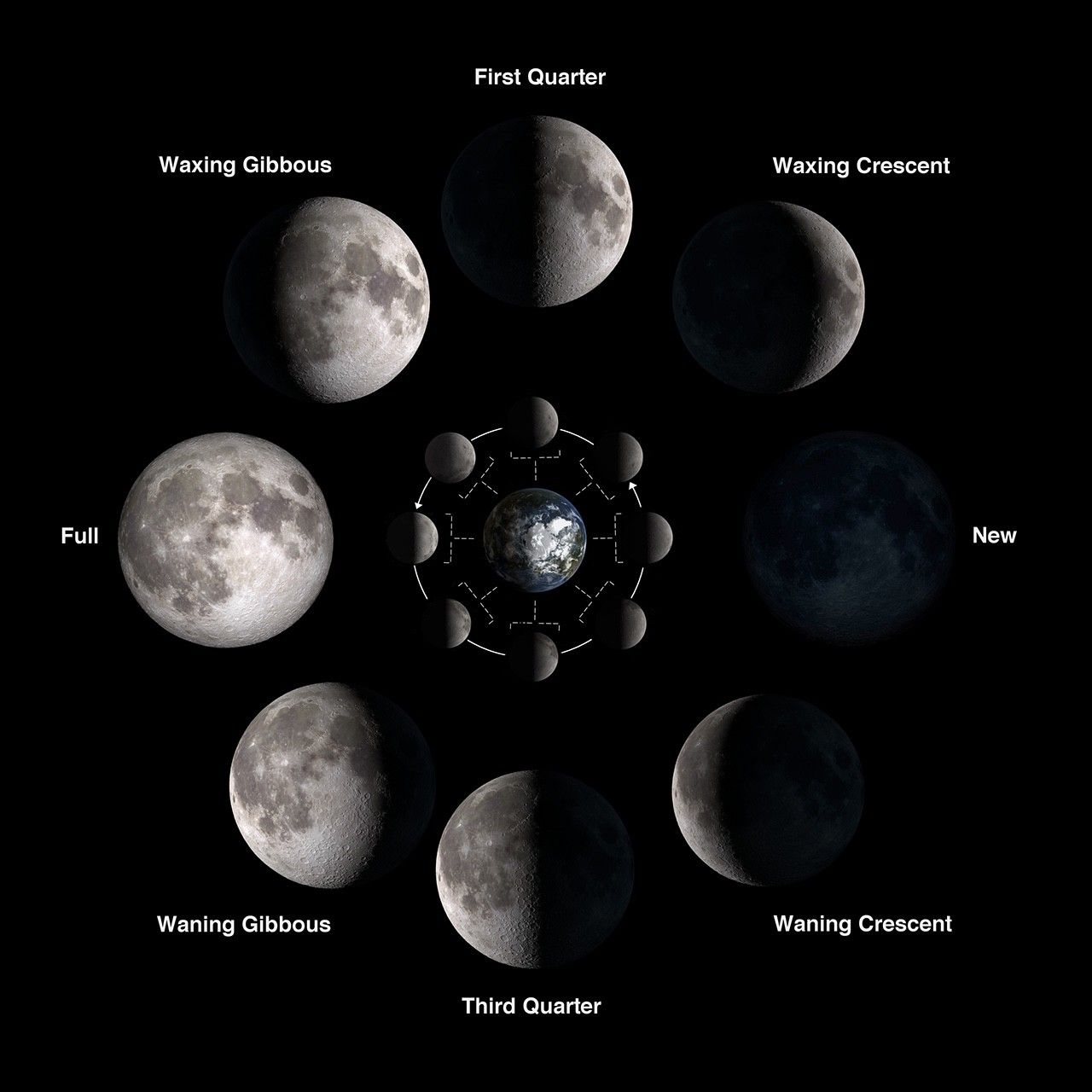 Thumbnail of Phases of the Moon - NASA Science