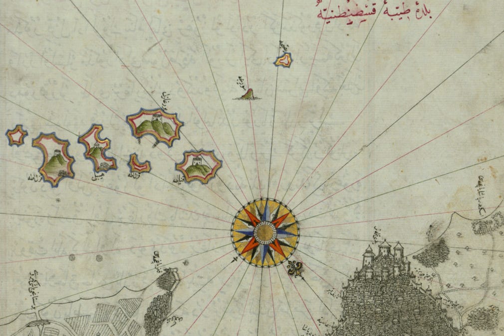 Thumbnail of The Snakes and Foxes of Anatolia