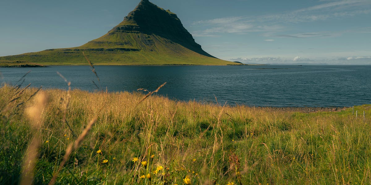 Thumbnail of Elementalism