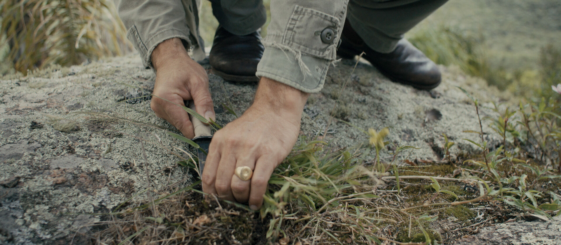 Thumbnail of Botanical exploration - Fueguia 1833