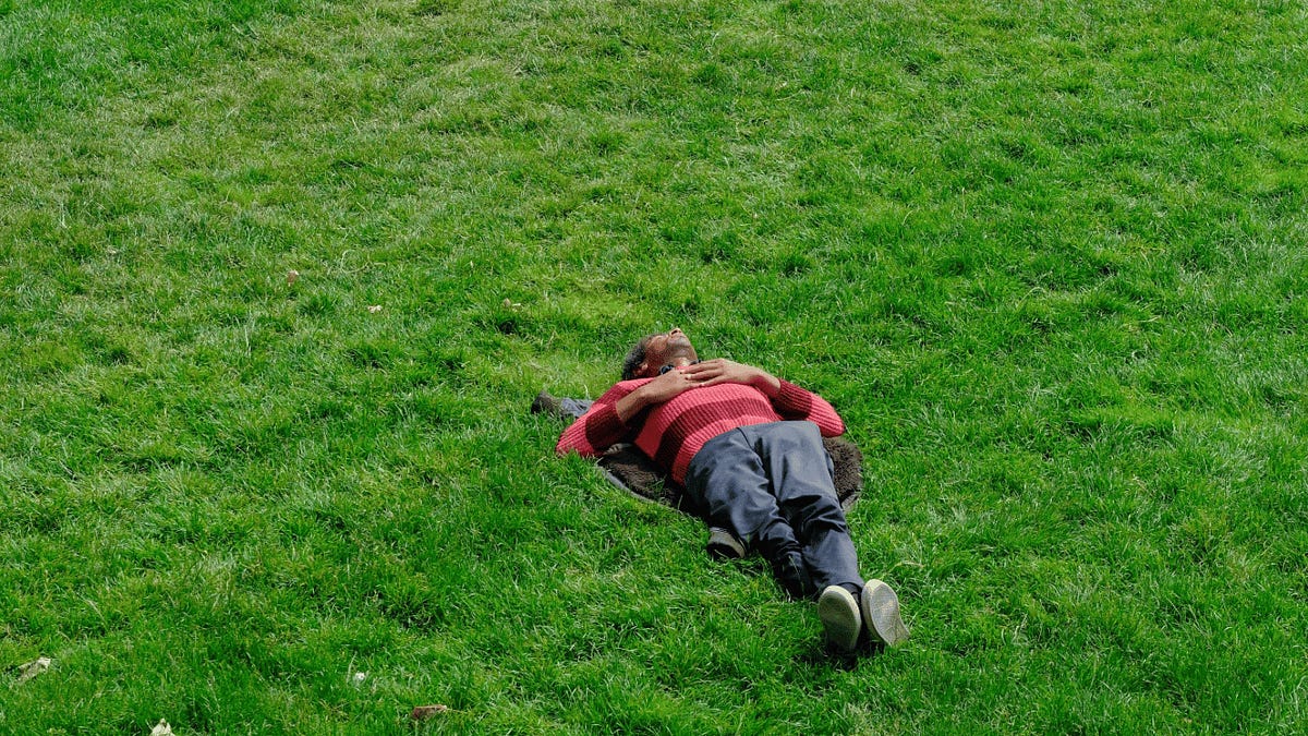 Thumbnail of Go Touch Grass: A Real World Survival Guide