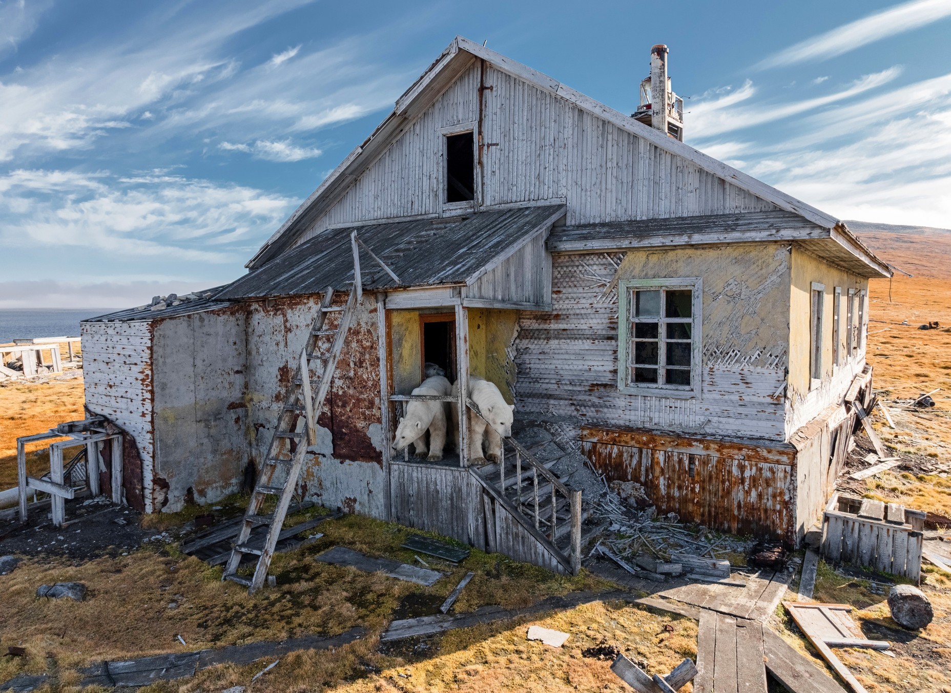 Thumbnail of Found on Cosmos