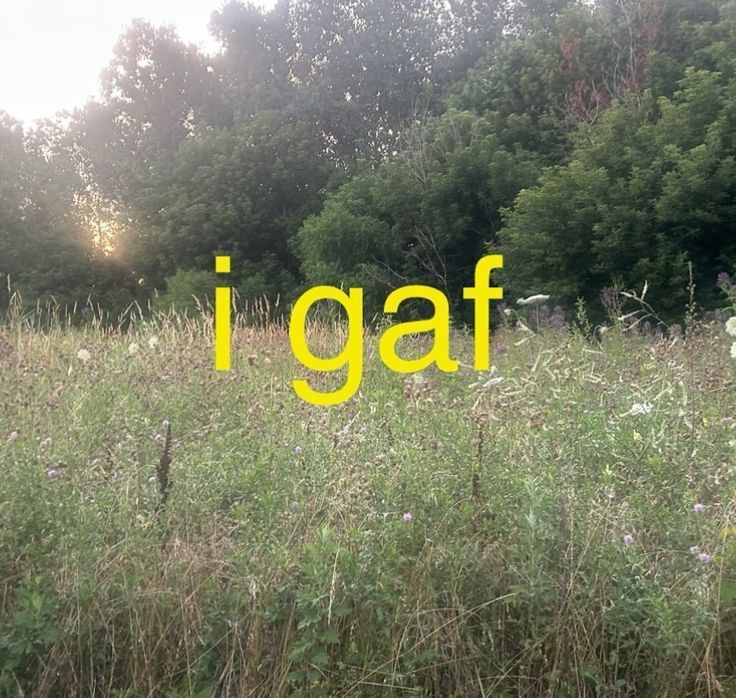 Thumbnail of Mansi Tiwari