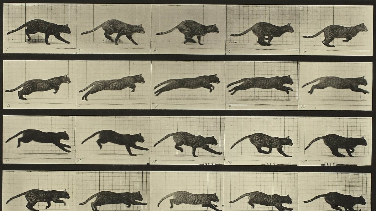 Thumbnail of How to walk through walls