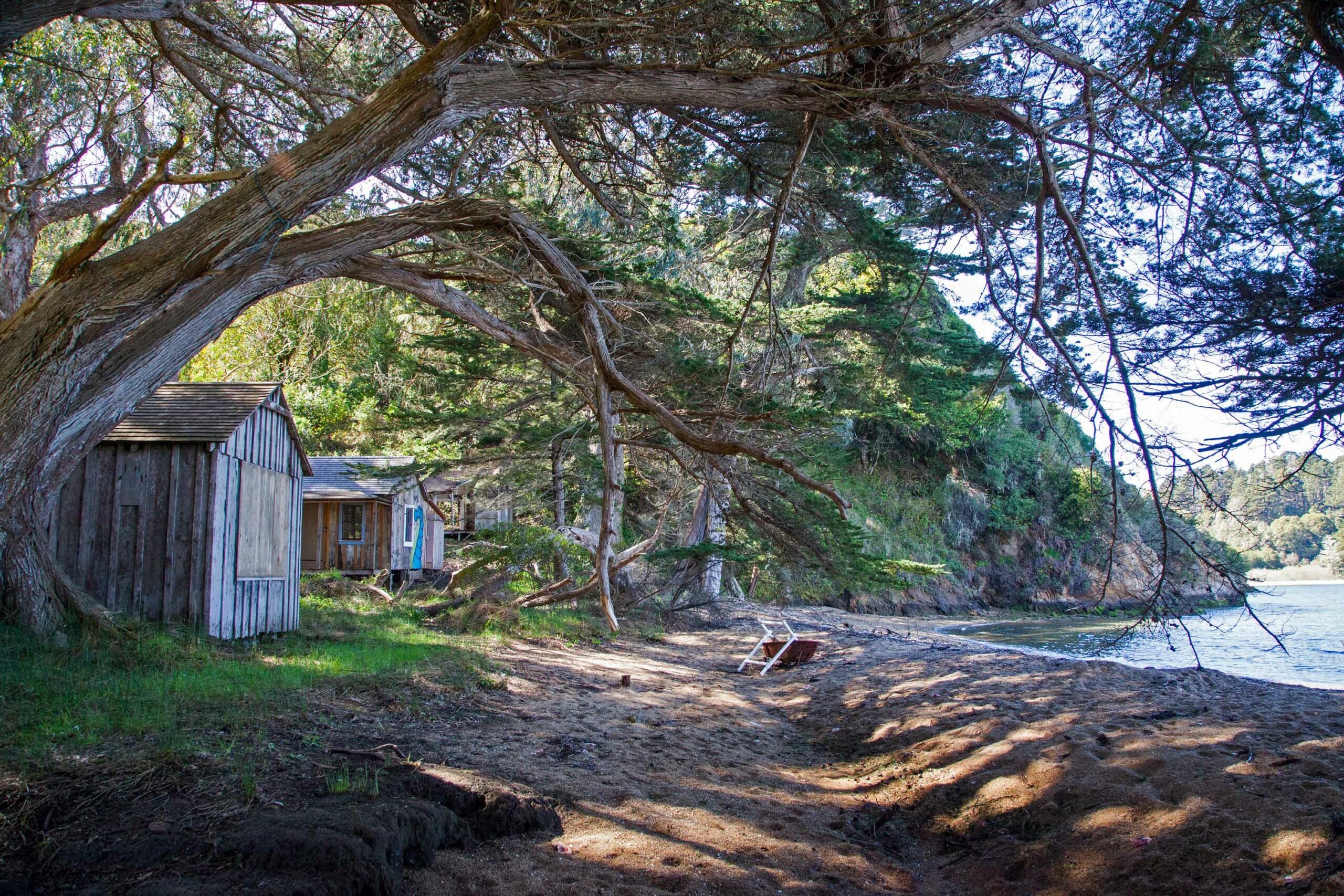 Thumbnail of A Sixty-Six-Year Journey to Tamal-Liwa — Theresa Harlan