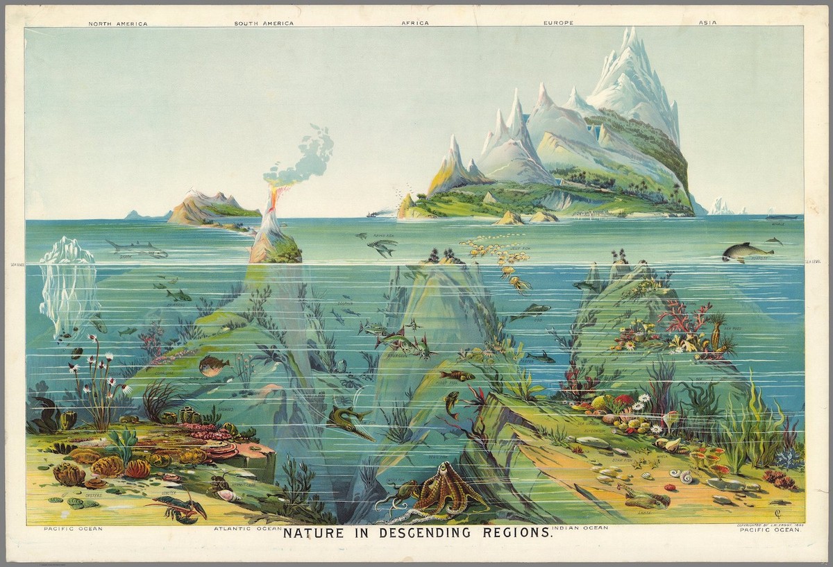 Thumbnail of Found on Cosmos