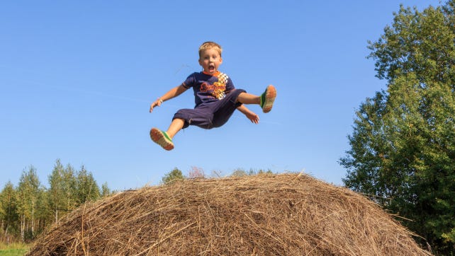 Thumbnail of Why Children Need Risk, Fear, and Excitement in Play