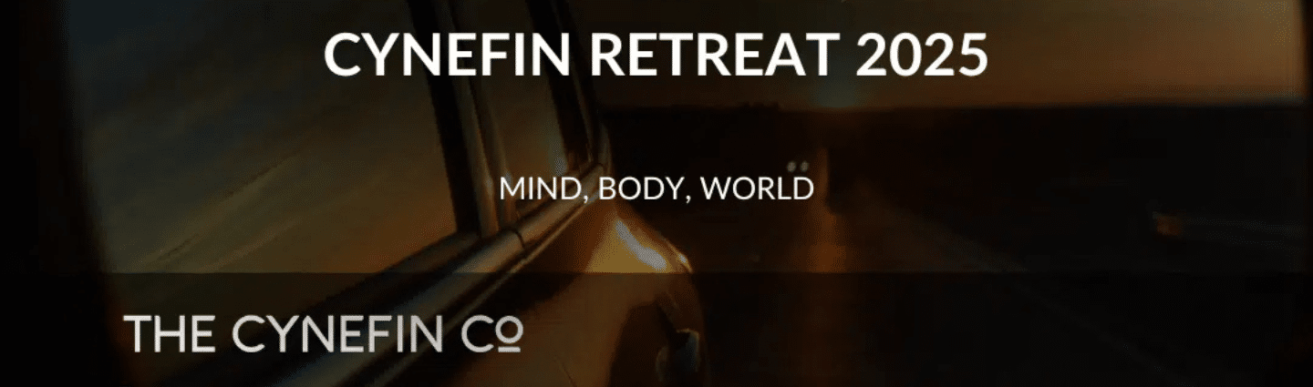 Thumbnail of The Good, the Bad & the System We’re In (Part 2) - The Cynefin Co