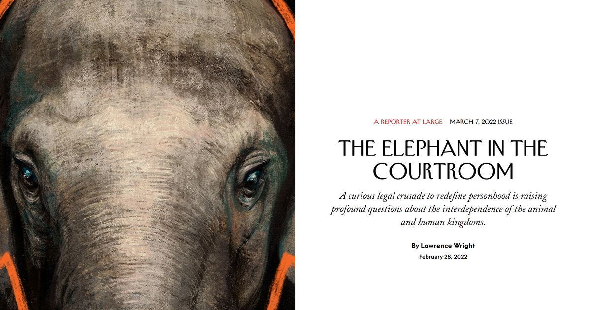 Thumbnail of The Elephant in the Courtroom | Are.na