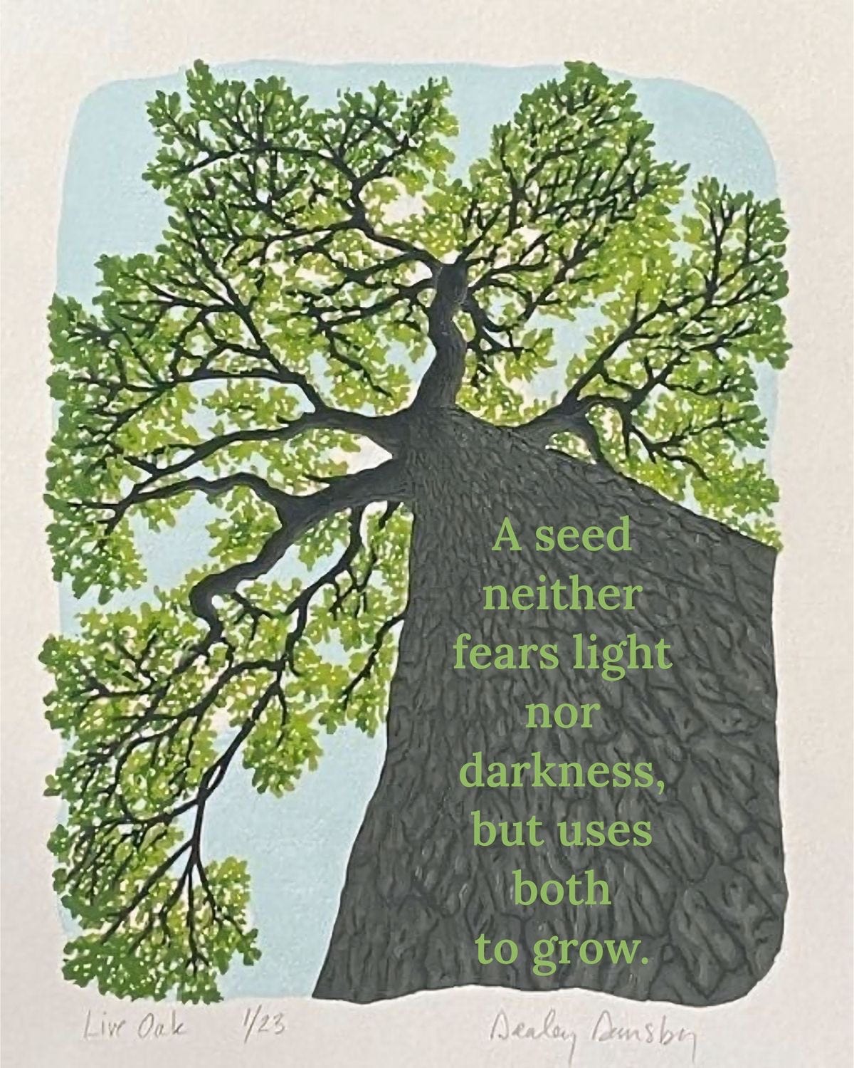 Thumbnail of Substack - A new economic engine for culture