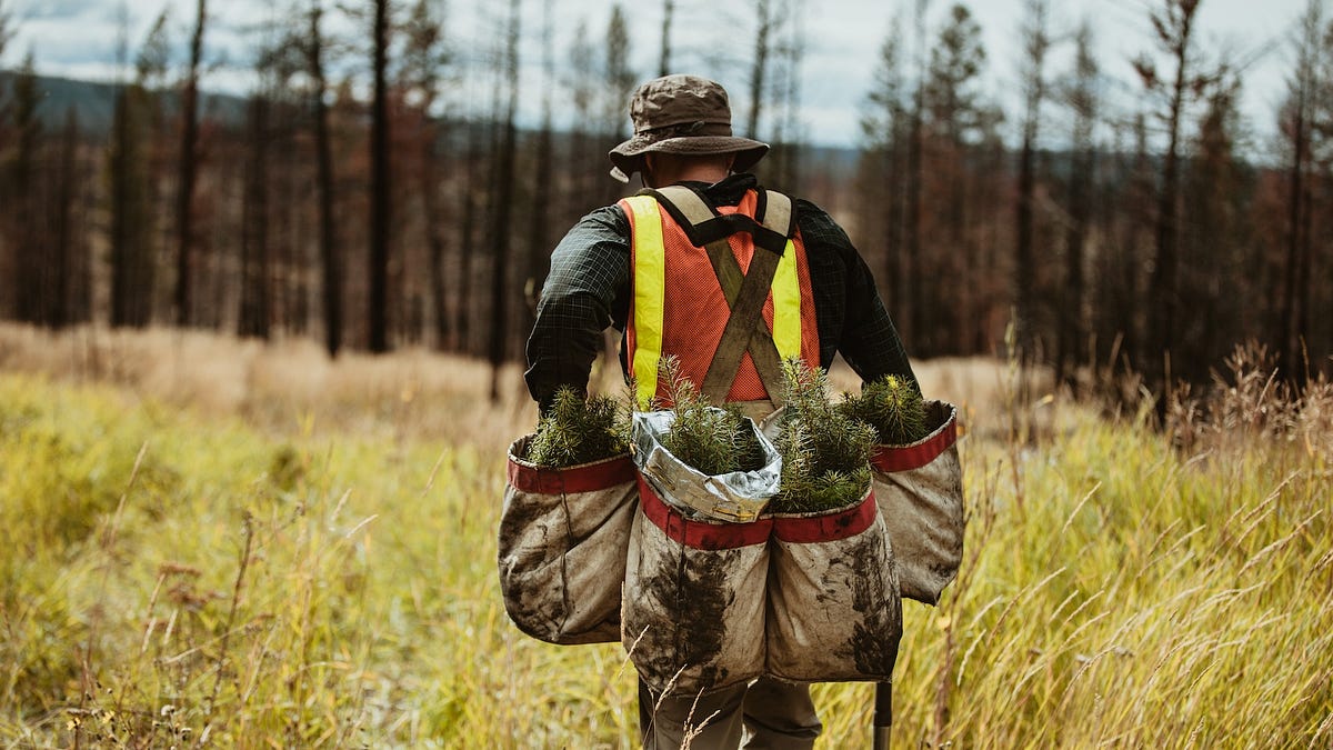Thumbnail of Can Abundance Include Nature?