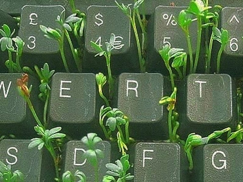 Thumbnail of Digital Garden Digest: Cultivating Intentional Online Spaces