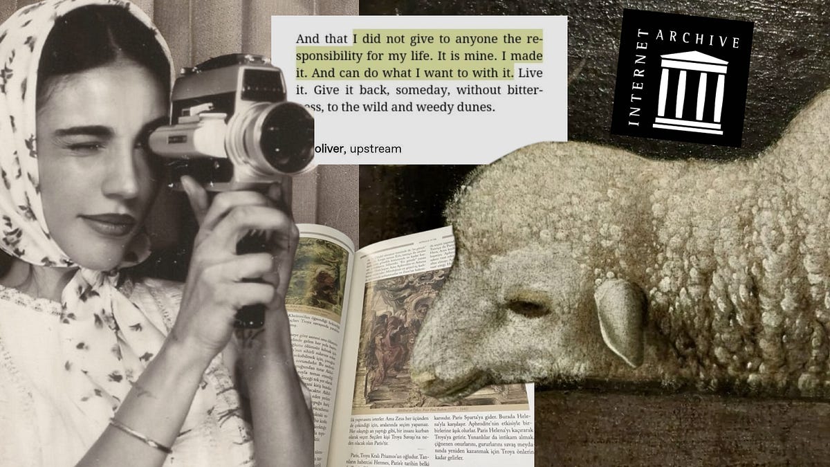 Thumbnail of you didn't achieve your goal because you didn't want it enough