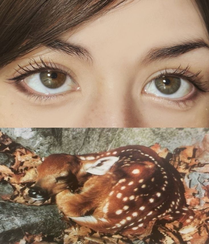 Thumbnail of Pin de Xenia em макияж em 2025 | Inspiração maquiagem, Ideias de maquiagem, Ideias para maquilhagem