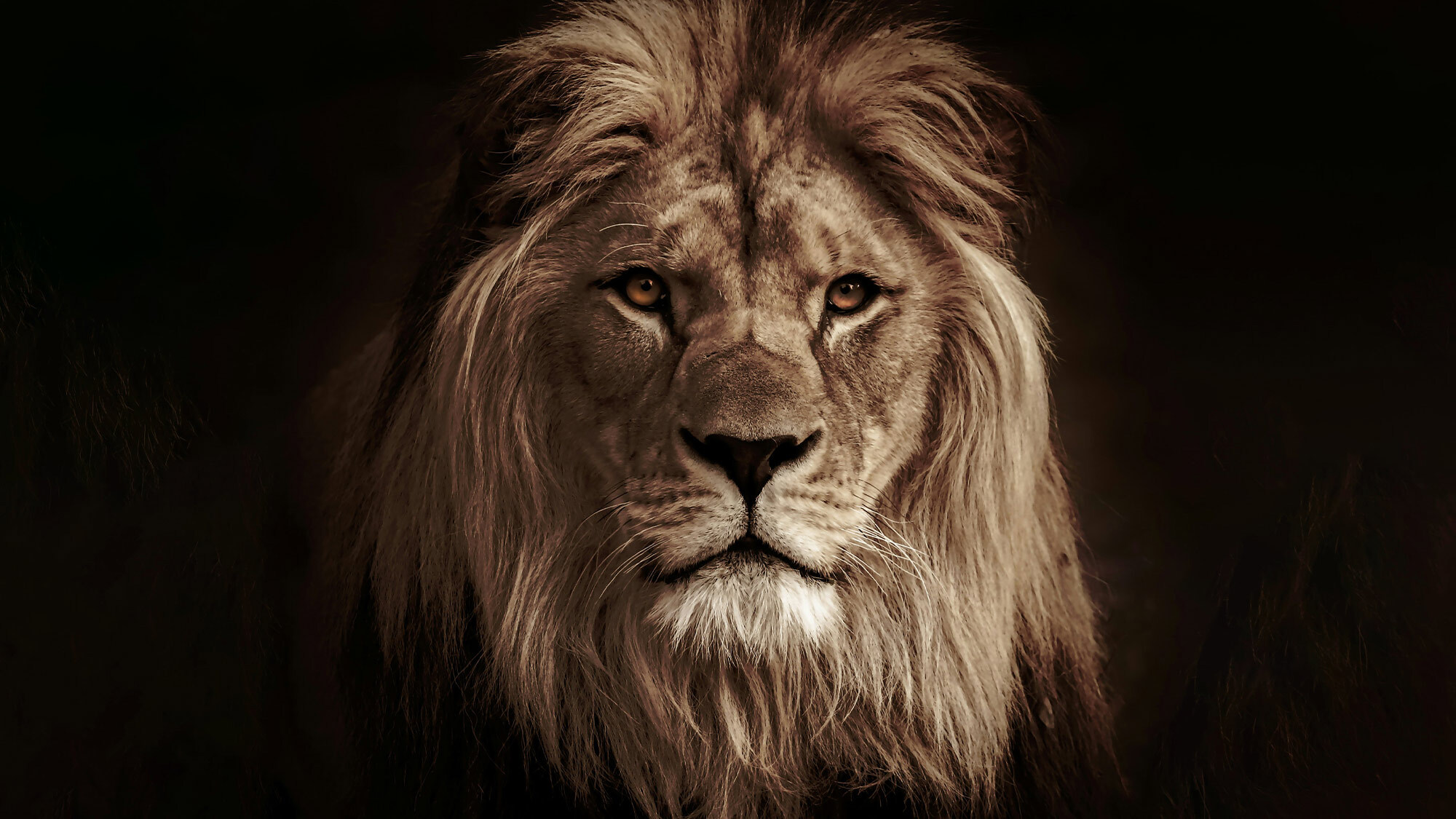 Thumbnail of Now Is the Time for Courage