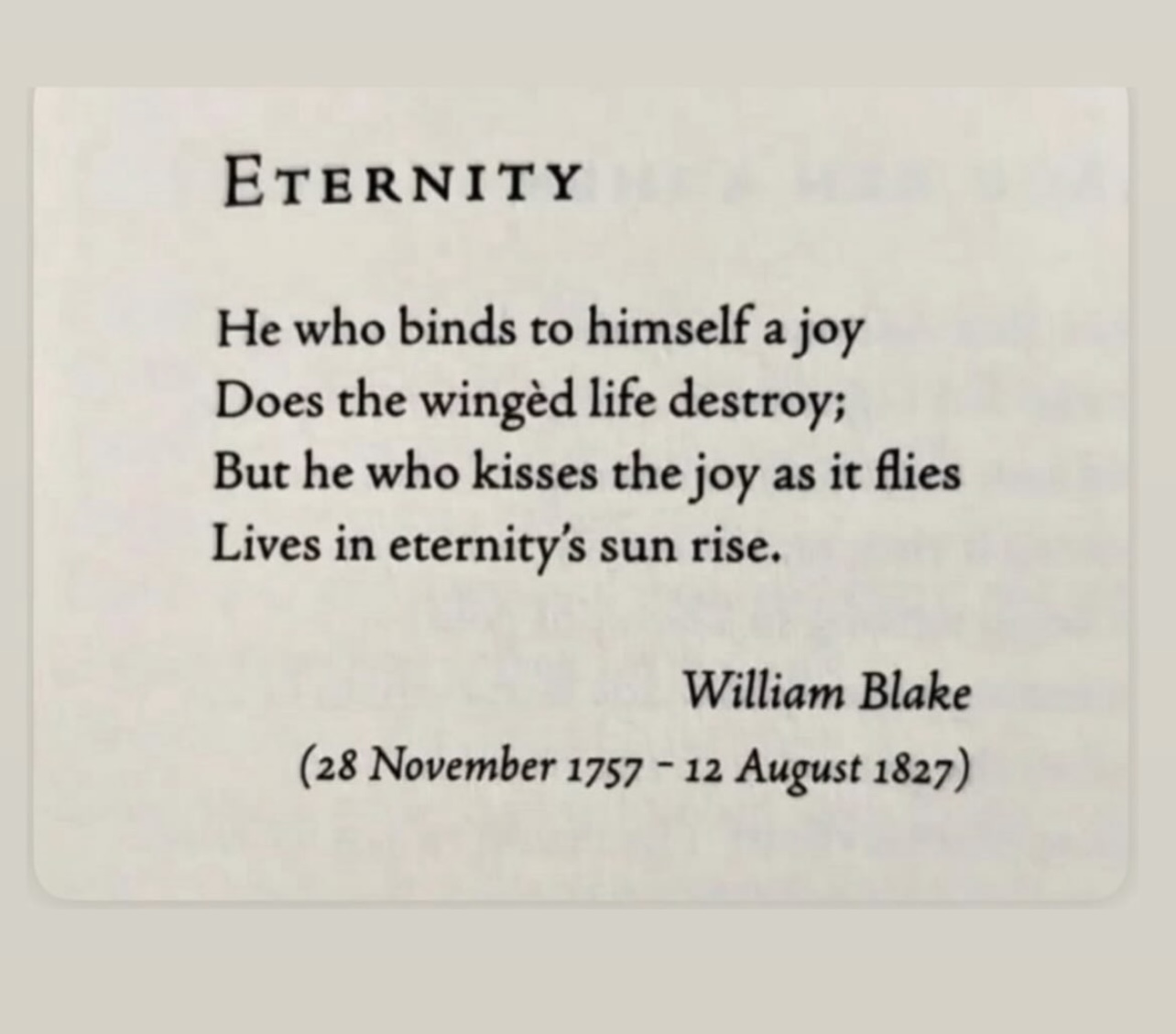 Preview of 9975-jpeg-393da3ccdfcd4cea