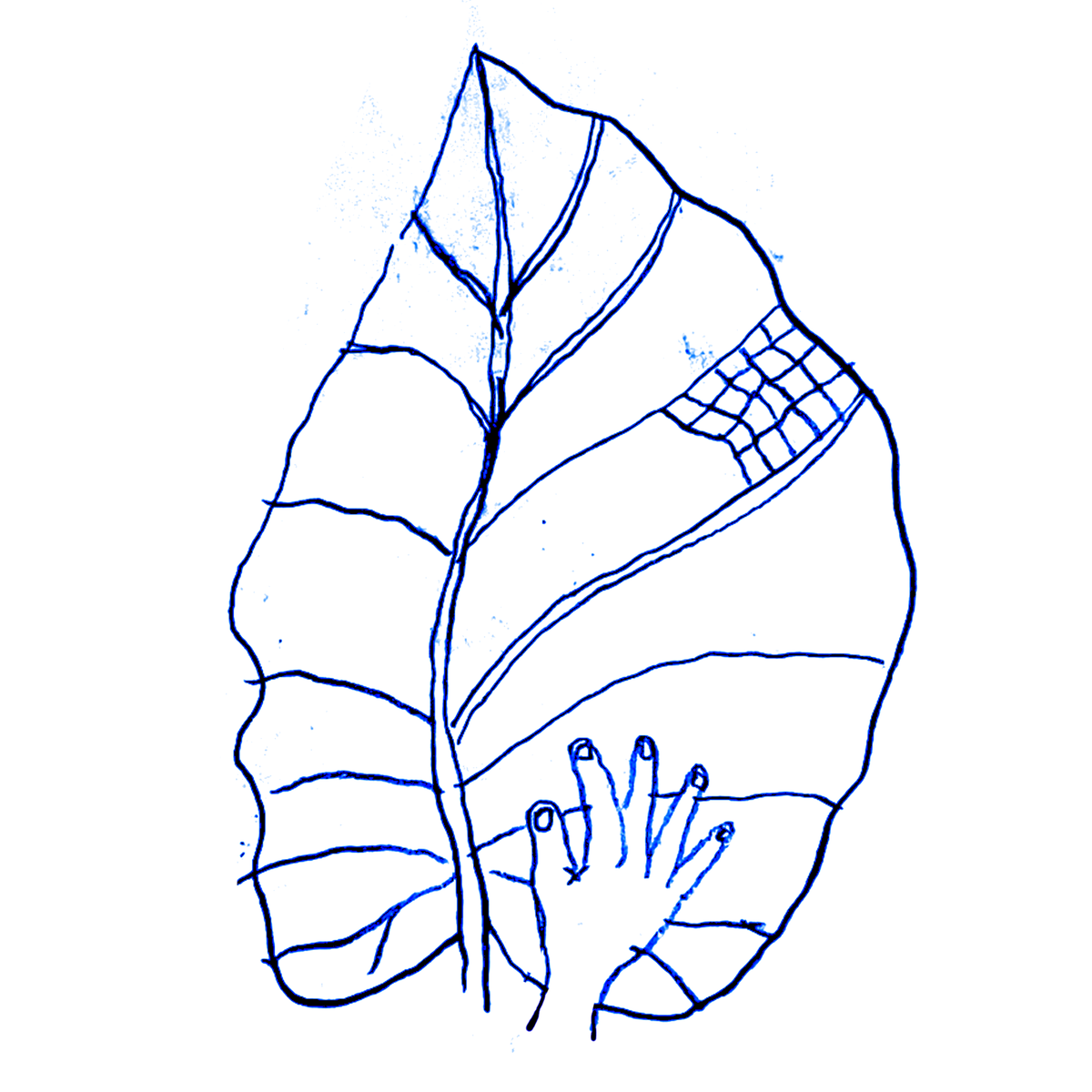 Thumbnail of blueleaf.systems