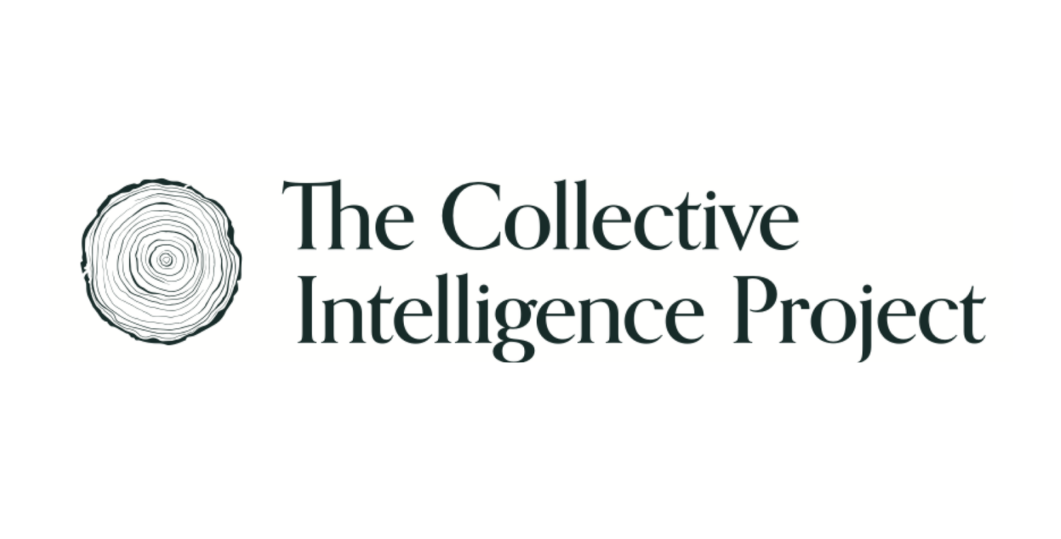 Thumbnail of The Collective Intelligence Project