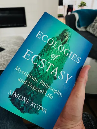 Thumbnail of Timothy Morton (@burninggold)