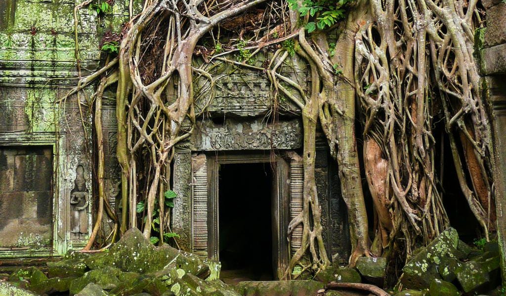 Thumbnail of Love and death, kiki and bouba