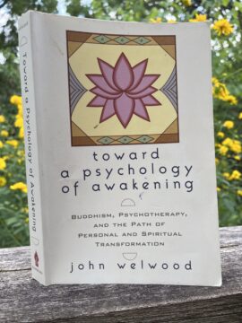 Thumbnail of Blending Psychotherapy and Spirituality - 3 Quarks Daily