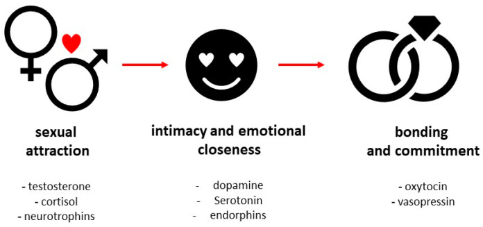 Thumbnail of The Molecular Basis of Love