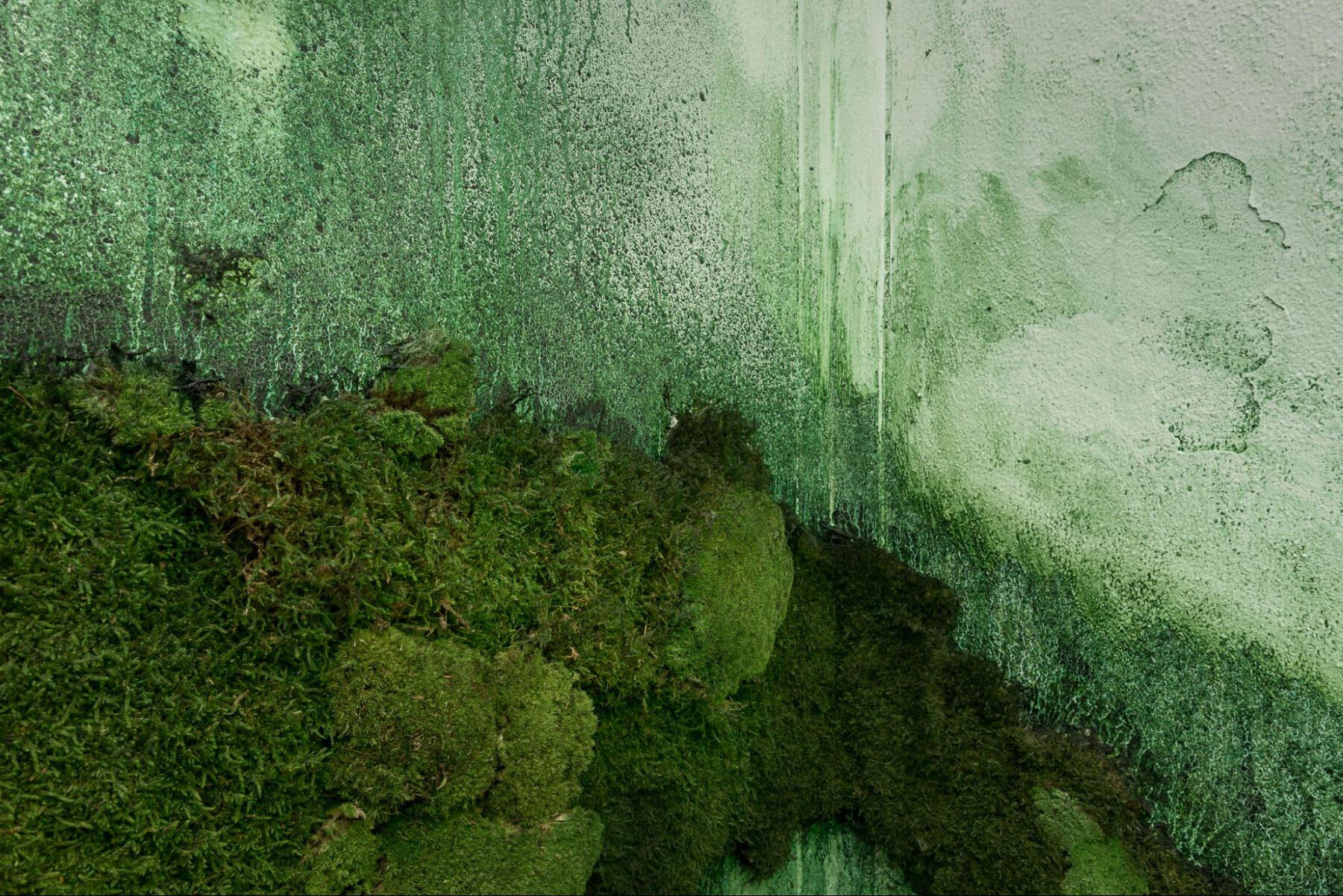 Thumbnail of The Word Made Fresh: Mystical Encounter and the New Weird Divine - Journal #92