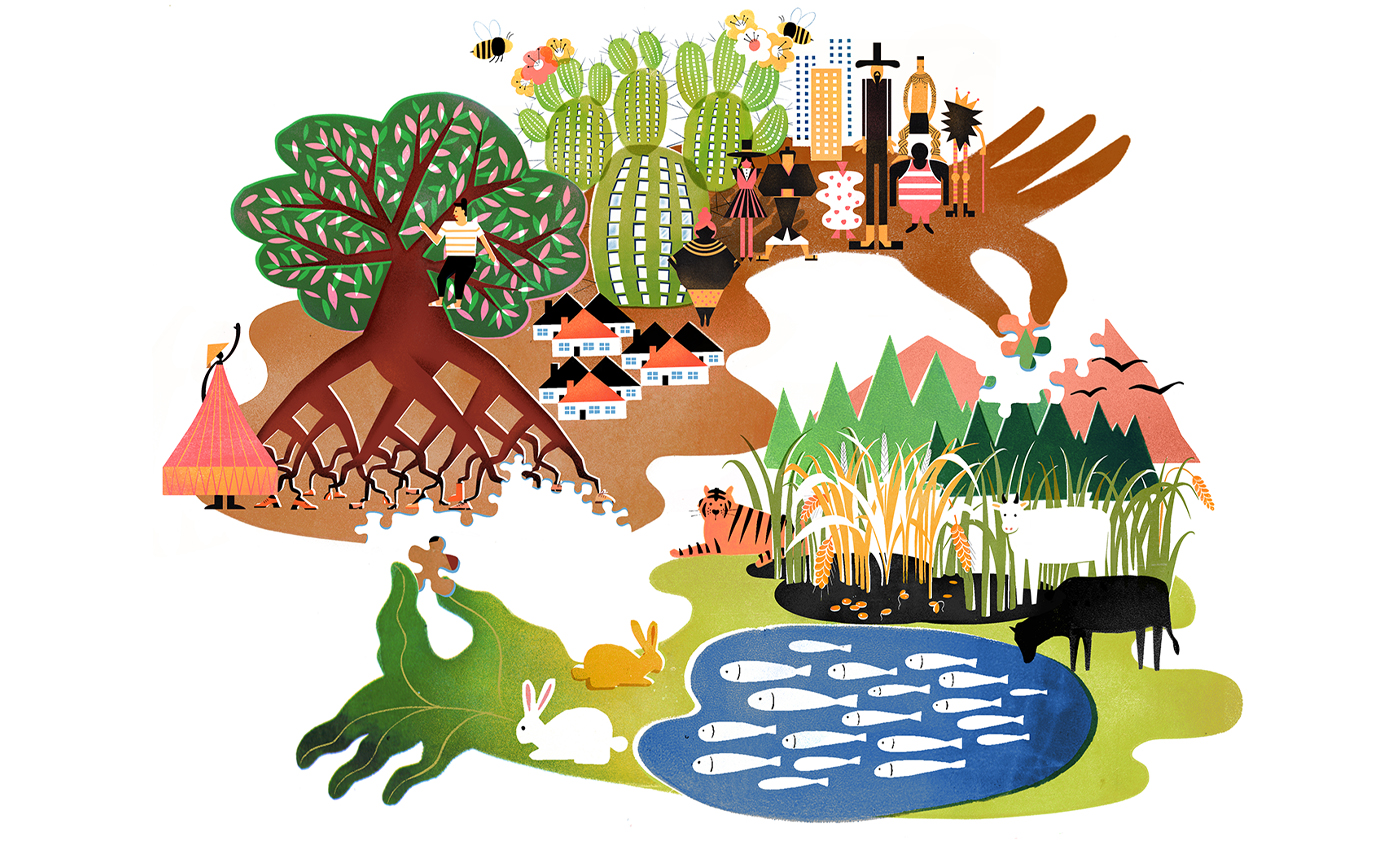 Thumbnail of What Does An Ecological Civilization Look Like?