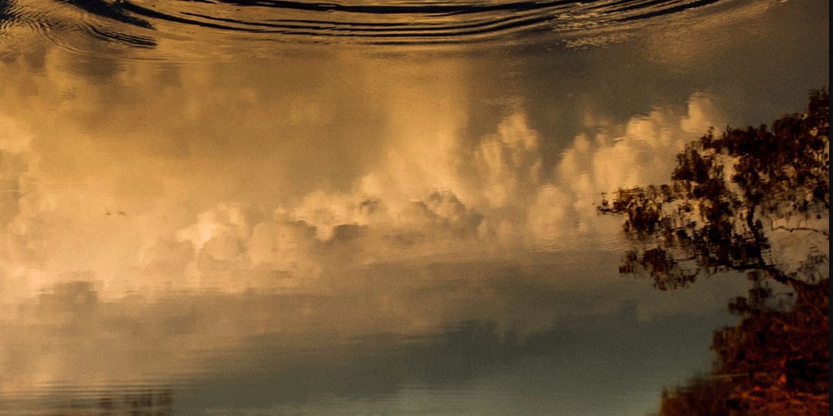 Thumbnail of What Is the Third Oikos?