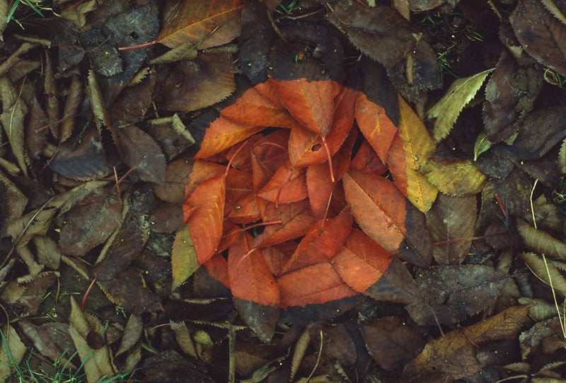 Thumbnail of Andy Goldsworthy’s Land Art Photography - IGNANT