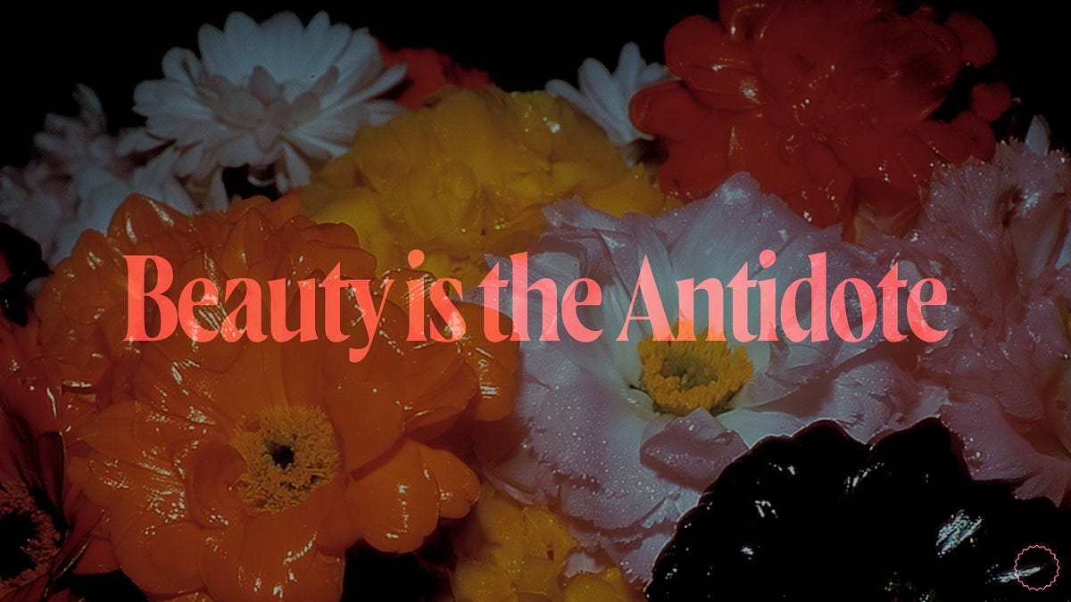 Thumbnail of Beauty Is The Antidote To Slop