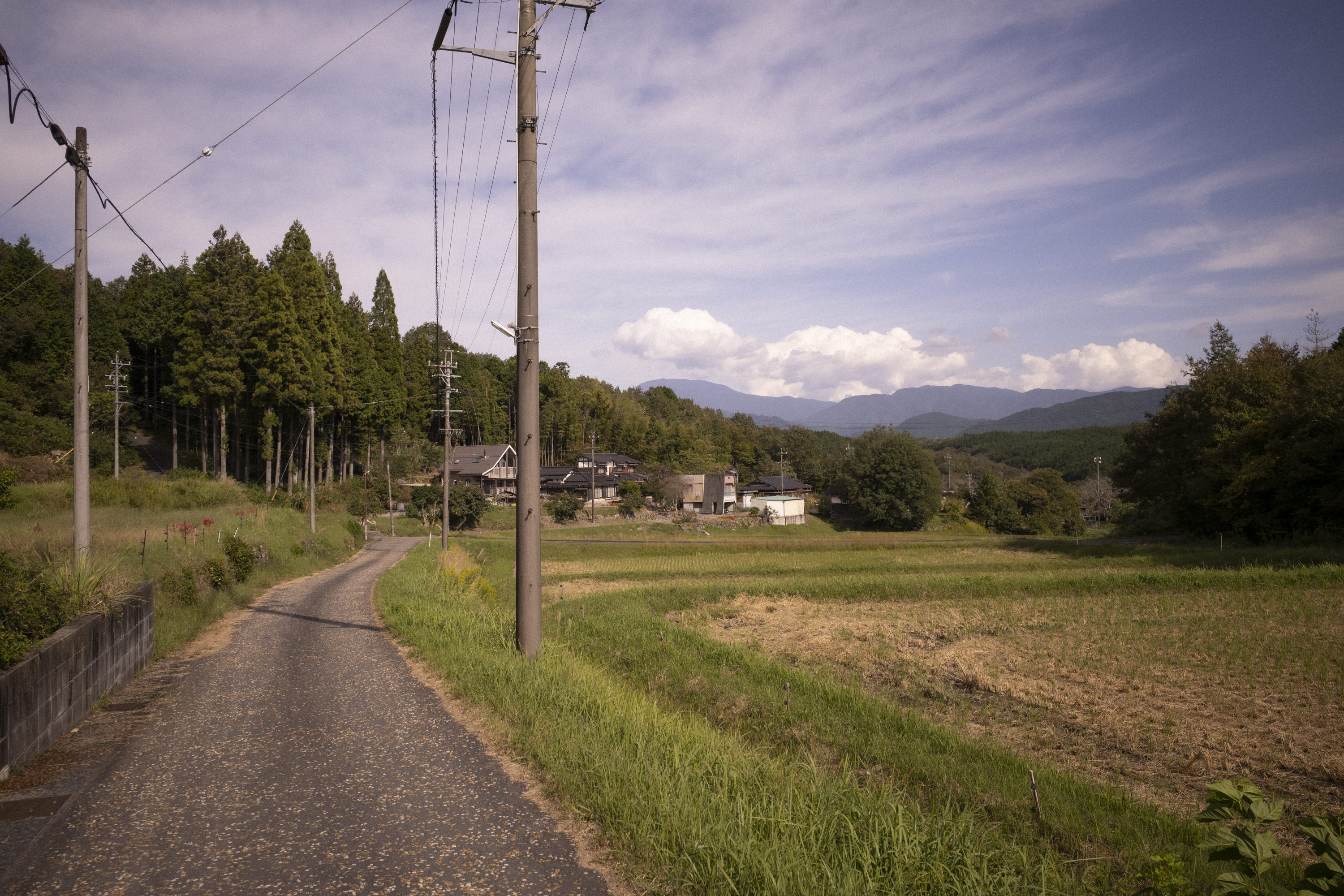 Thumbnail of [RIDGELINE] Full Days and the Long Walk