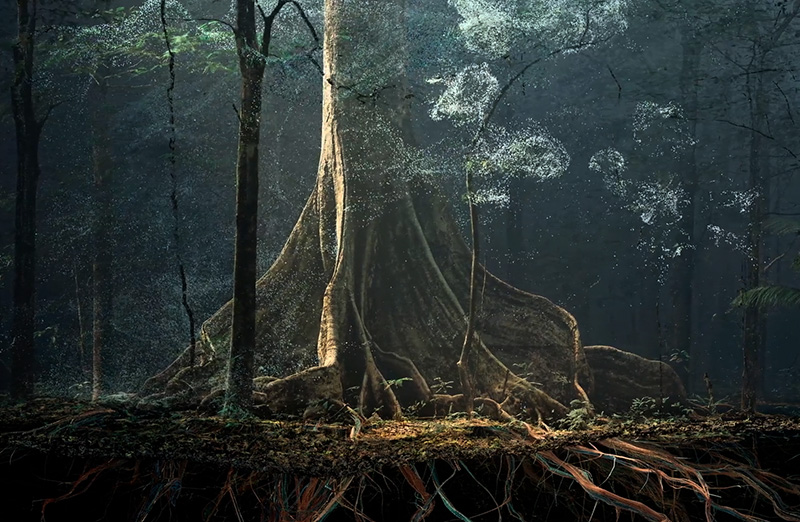 Thumbnail of Breathing with the Forest – by Marshmallow Laser Feast