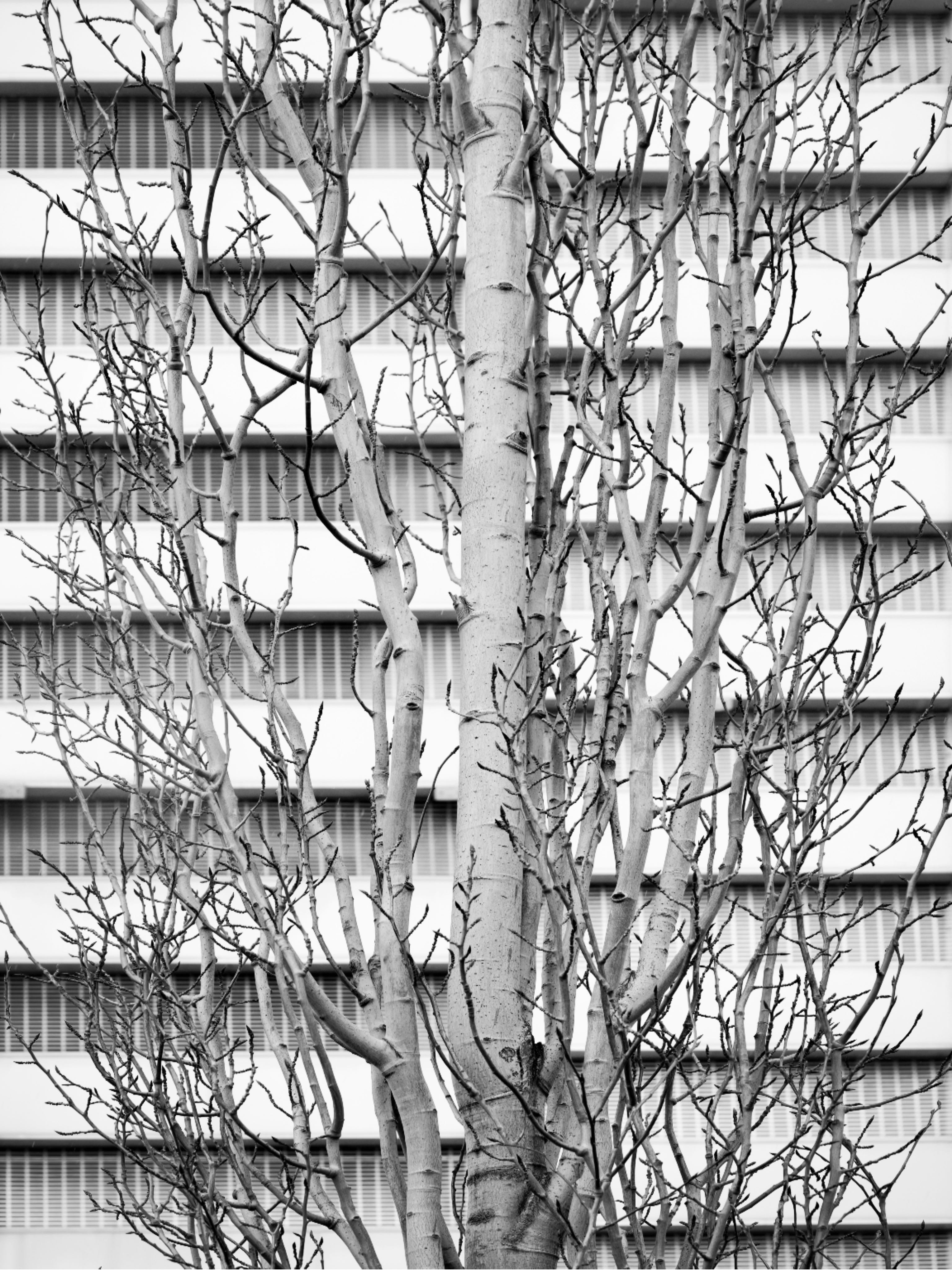 Thumbnail of Home | Substack