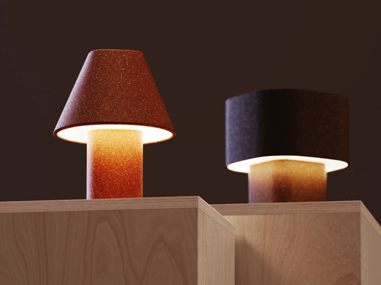 Thumbnail of Lanova Terra Lamp turns biowaste materials into light source - Yanko Design