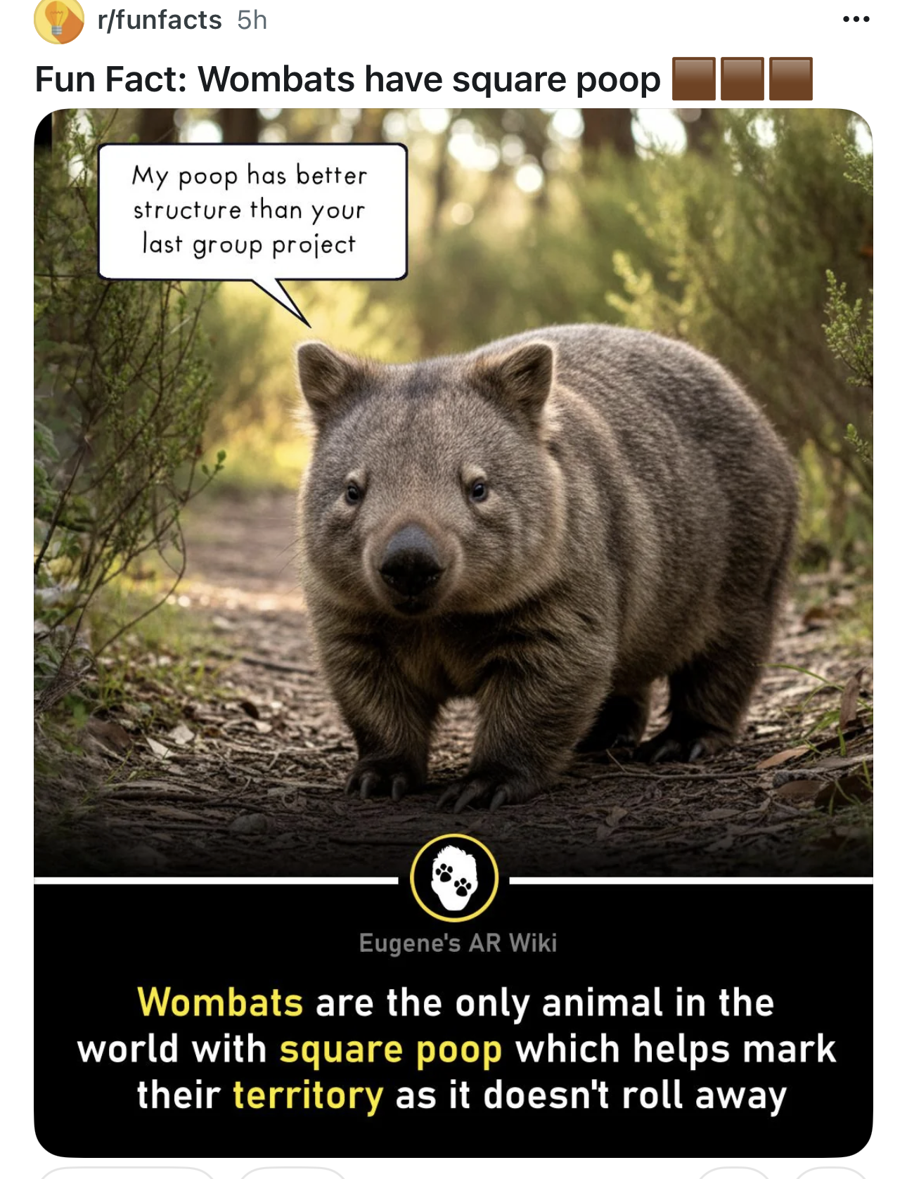 Preview of f4219b9b357f-png