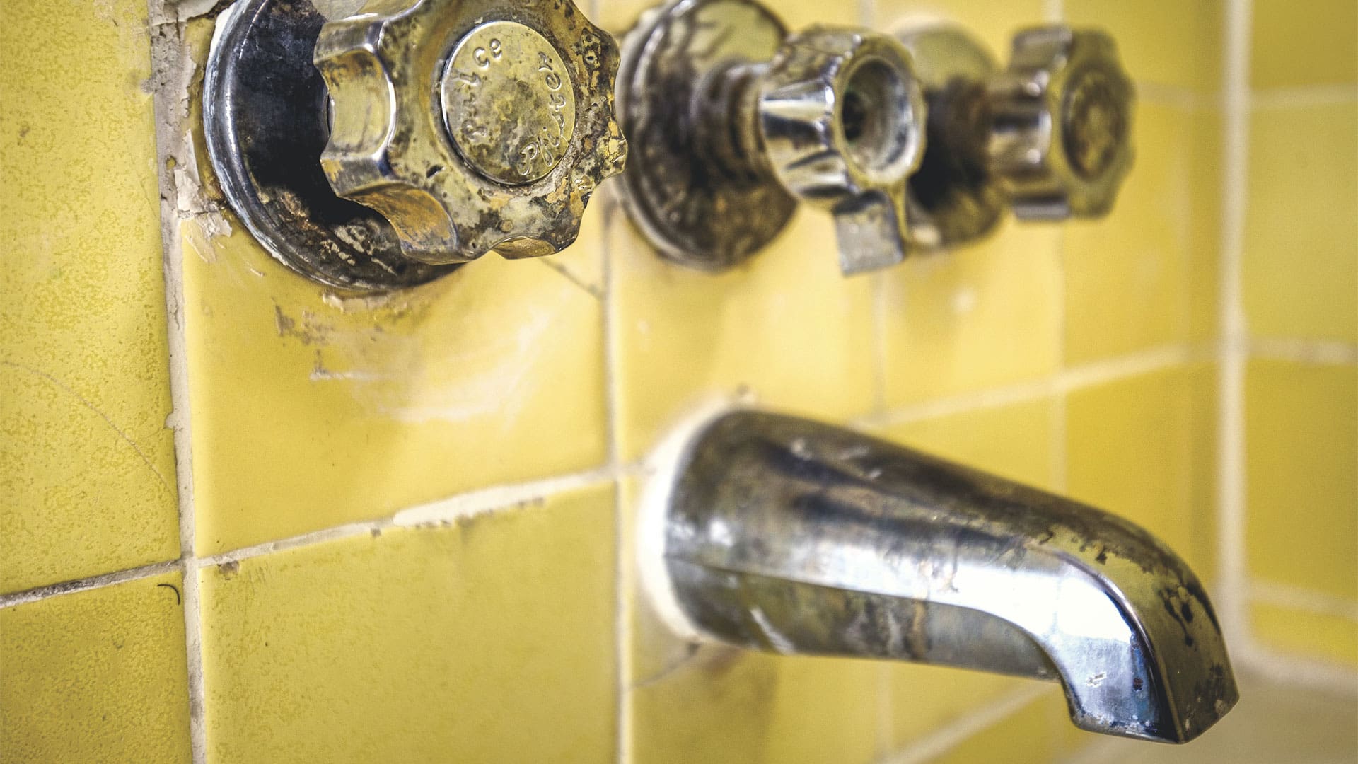 Thumbnail of Repair and Remain