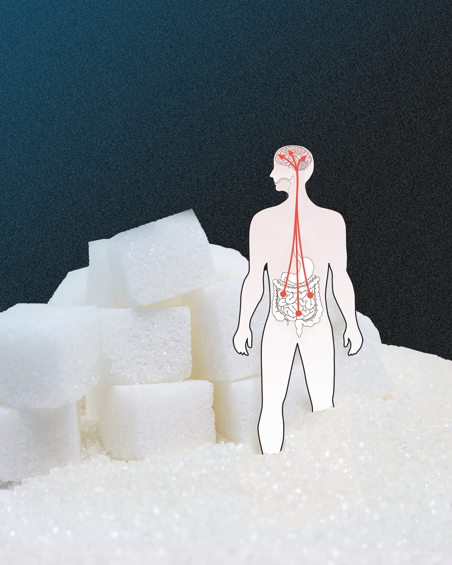Thumbnail of Our Love for Sugar — Zuker Lab