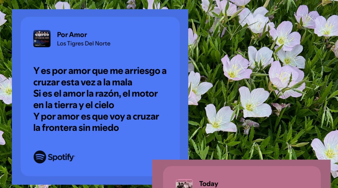 Thumbnail of Y Por Amor / I'm so Full of Love