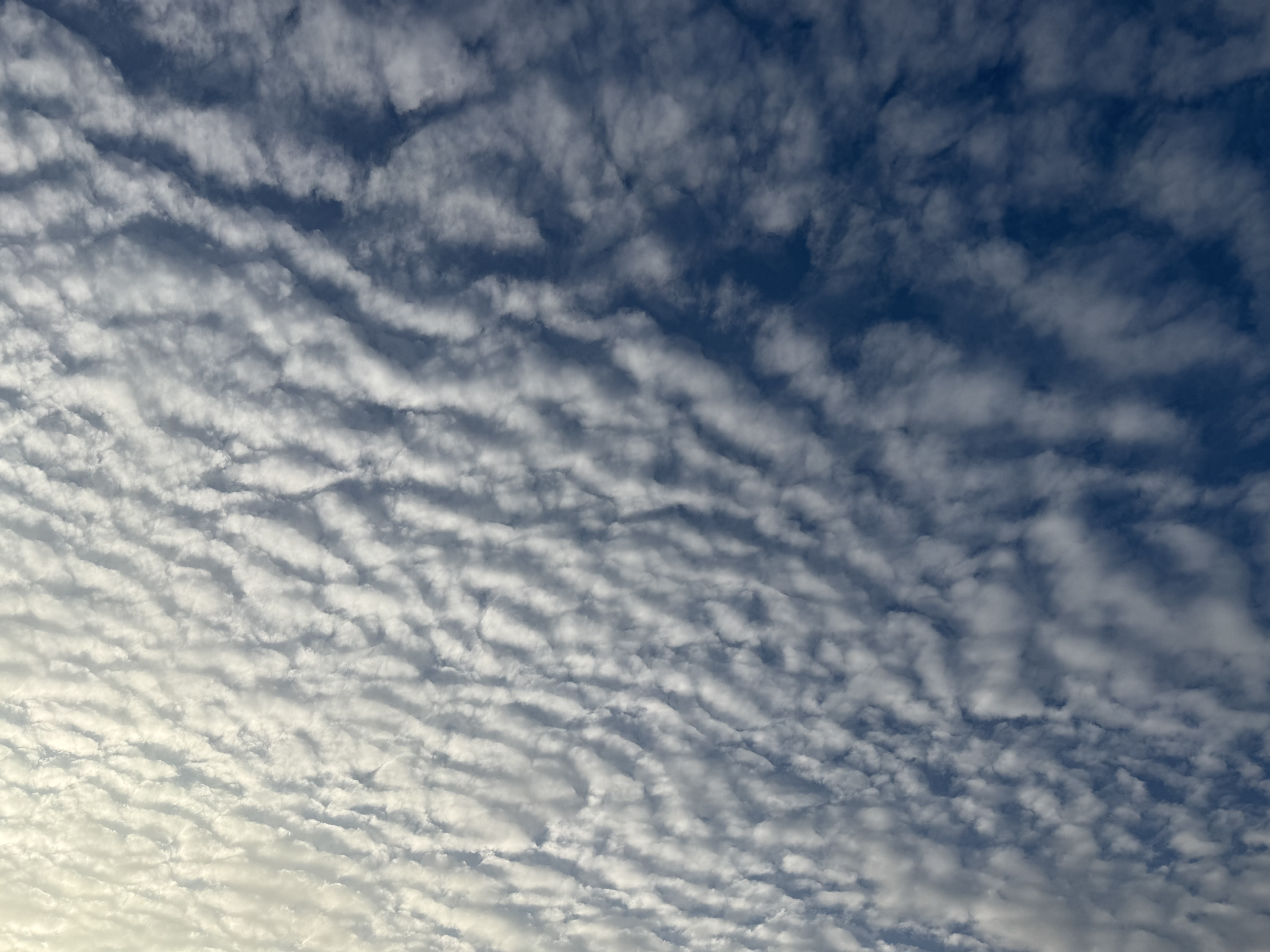 Preview of ef99a820b68d-jpeg