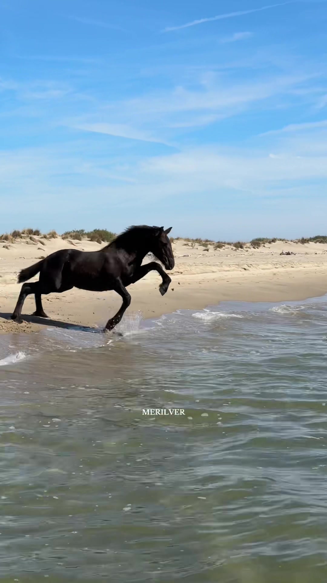 Thumbnail of Merilver on TikTok