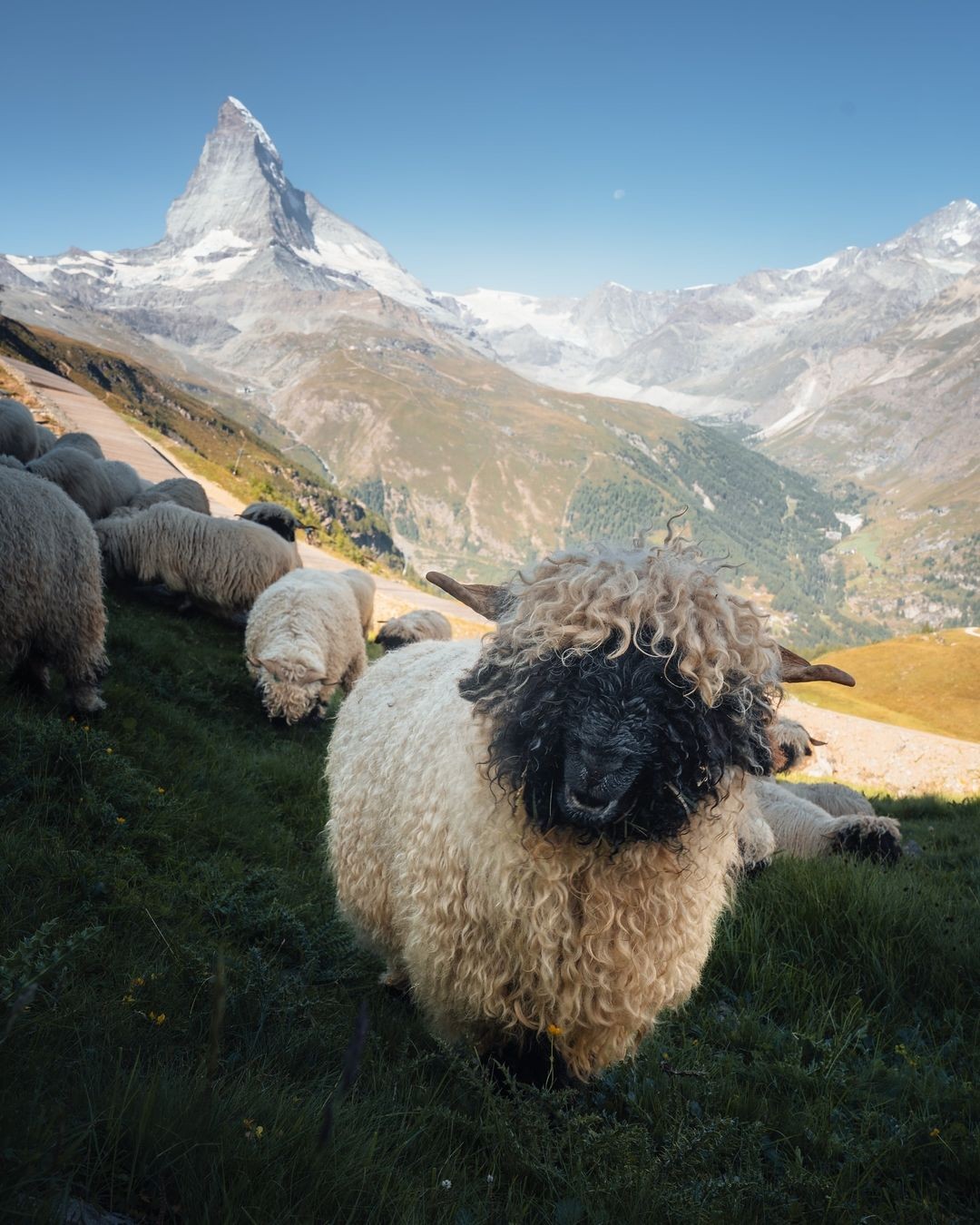 Thumbnail of Found on Cosmos