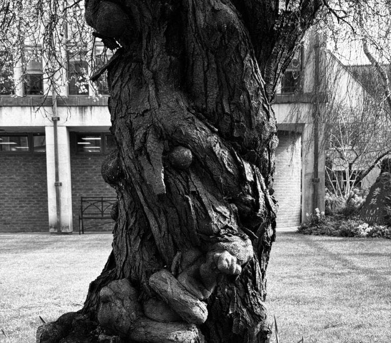 Thumbnail of Wednesday 18 March, 2026