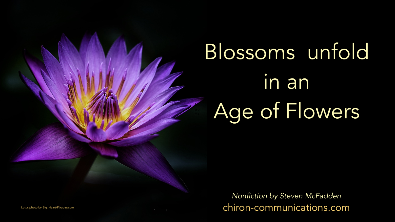 Thumbnail of Blossoms unfold in an Age of Flowers