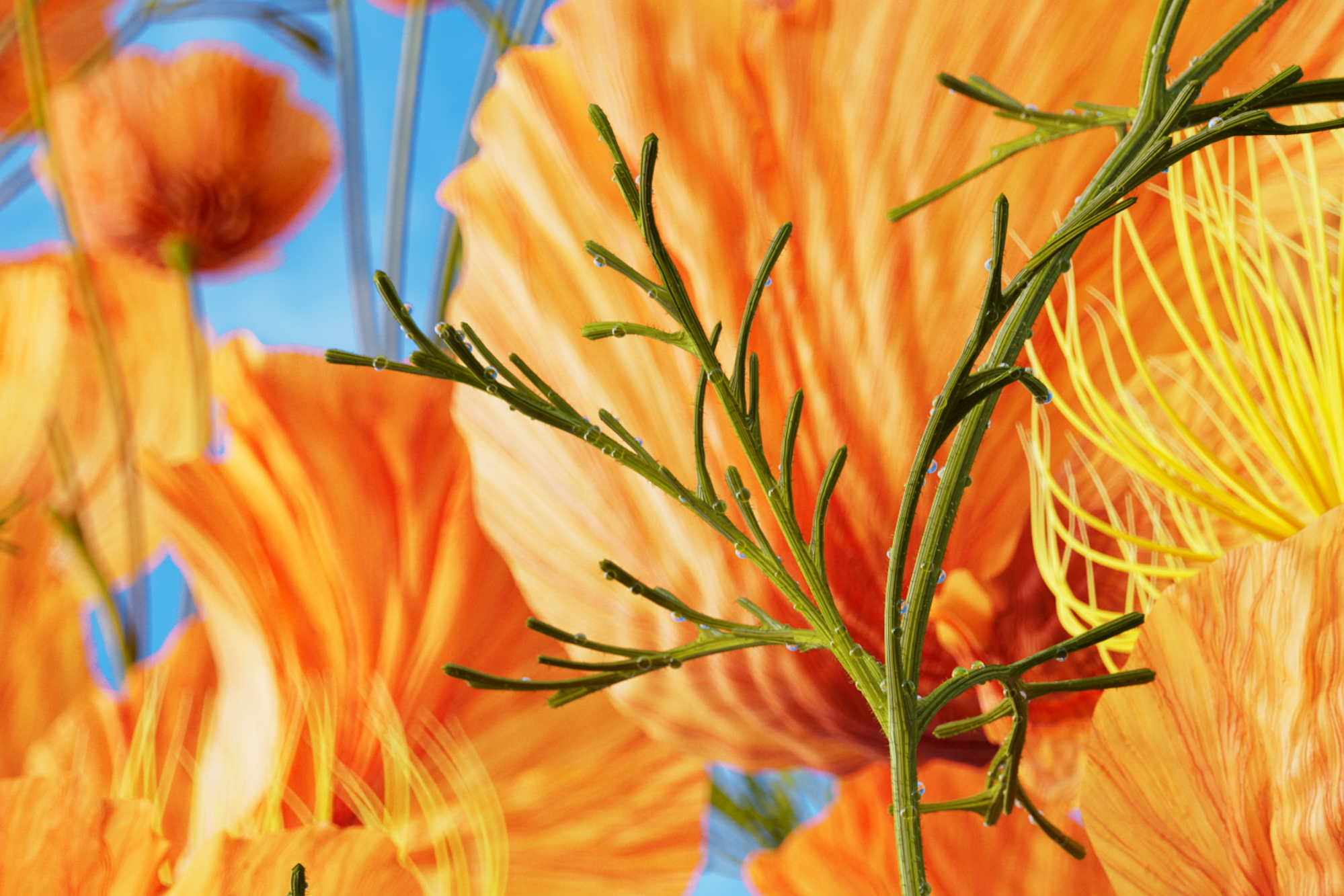 Thumbnail of Against Scale